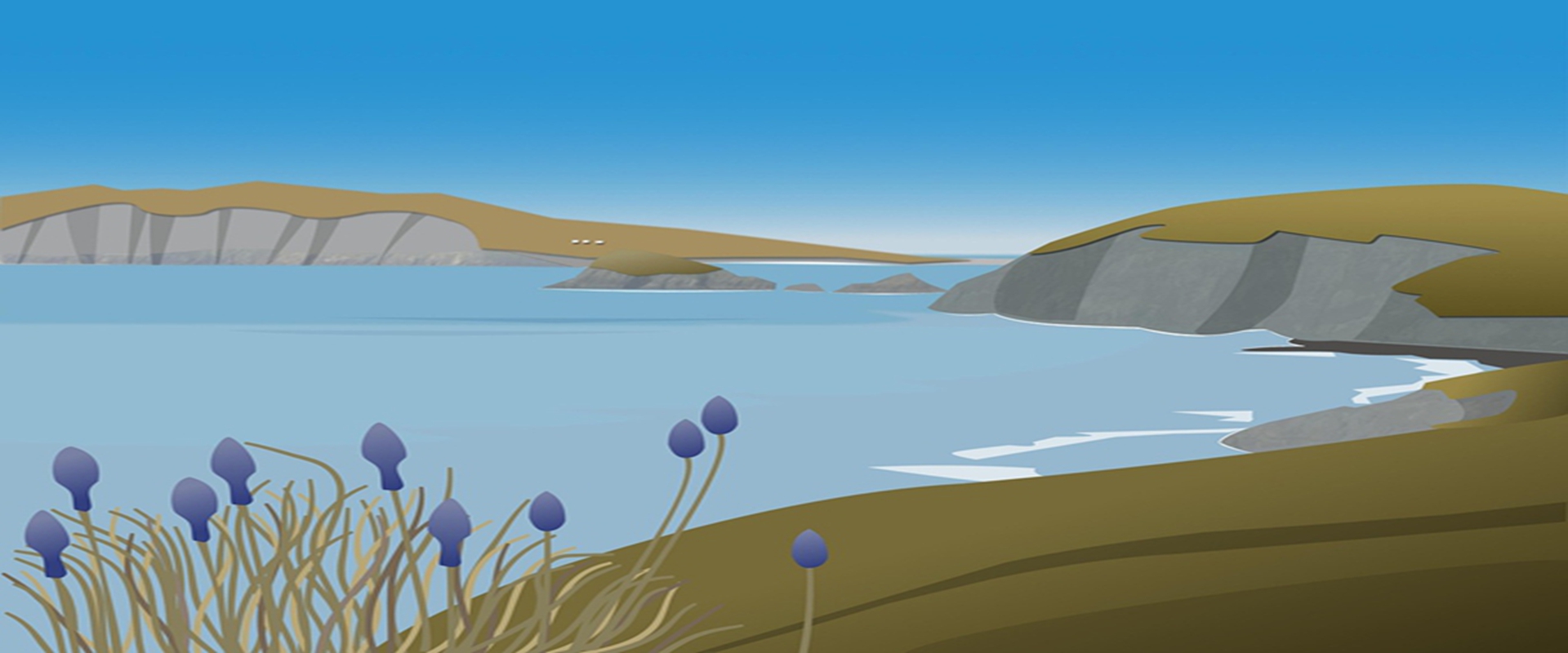 球盟会体育文旅融合项目-2008年创立