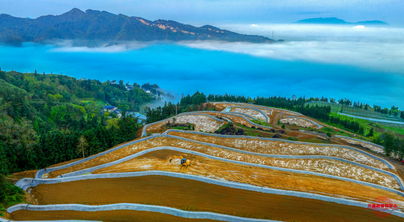 球盟会中国股份有限公司粮画小镇春节盛典：传统文化与乡村振兴的完美融合(图1)