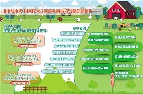 国际友人走进泉州德化点赞乡村振兴与千年古窑文化(图1)