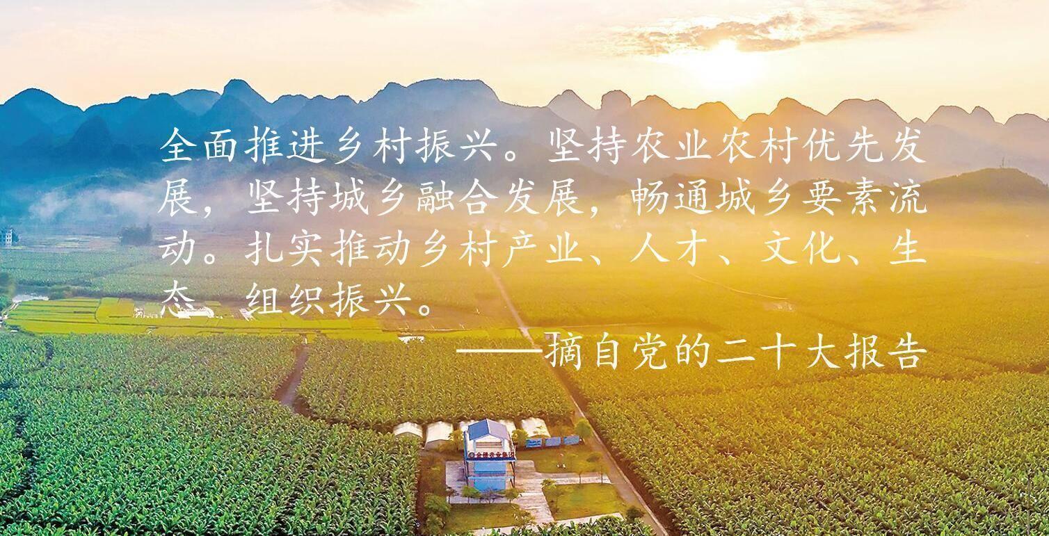 全国多地开展乡村振兴战略实施工作持续推进全面推进乡村振兴(图1)