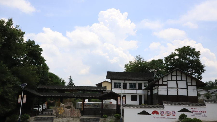 乡村振兴呼唤更多有闯劲的年轻人(图1)