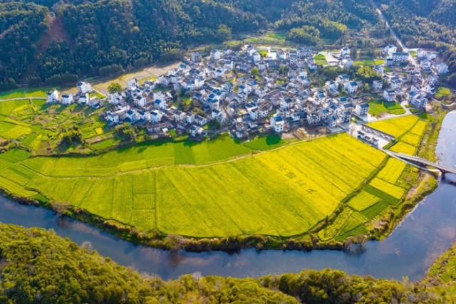 花海美景成为富民效益“花卉+旅游+文化”让乡村振兴“开”出新活力(图1)