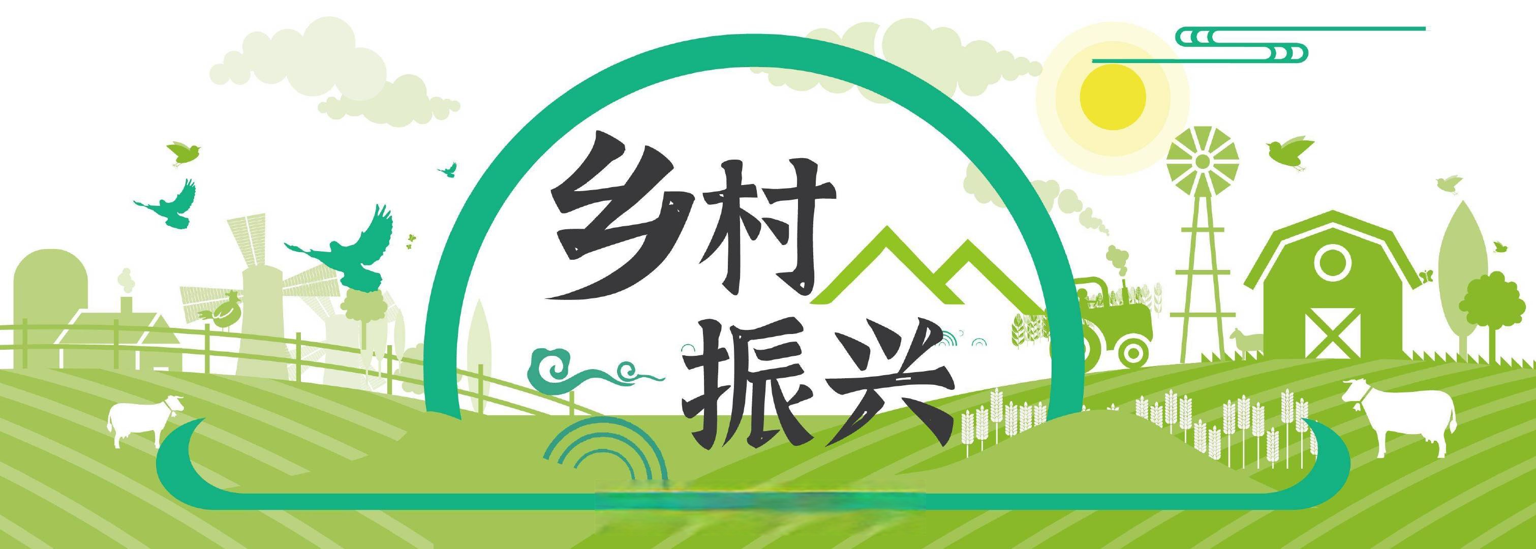 球盟会以文明乡风绘就乡村全面振兴新画卷(图1)