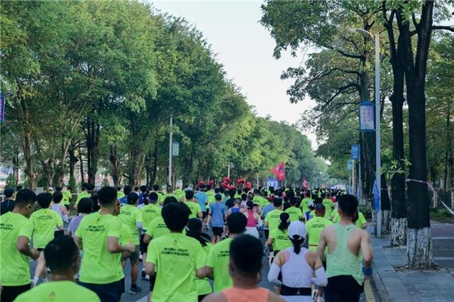 从刮痧到颂钵海内外师生在沪沉浸式体验中医药文化魅力(图1)
